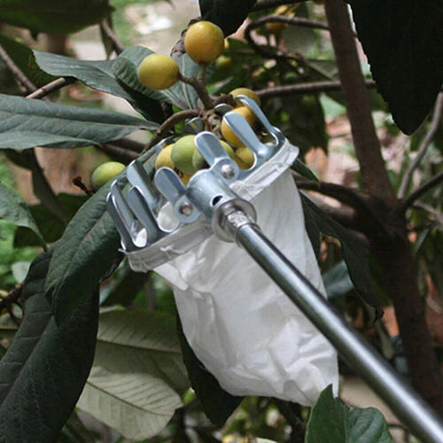 Pro Harvest Picker Basket