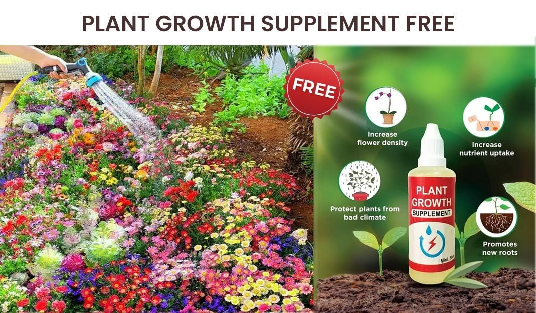 Royal Garden 100 Premium Flower Seeds + Free Plant Growth Supplement