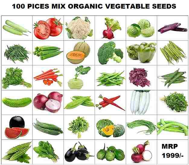 Ultimate Organic Grow Kit: 100 Seeds + 5 Pro Bags