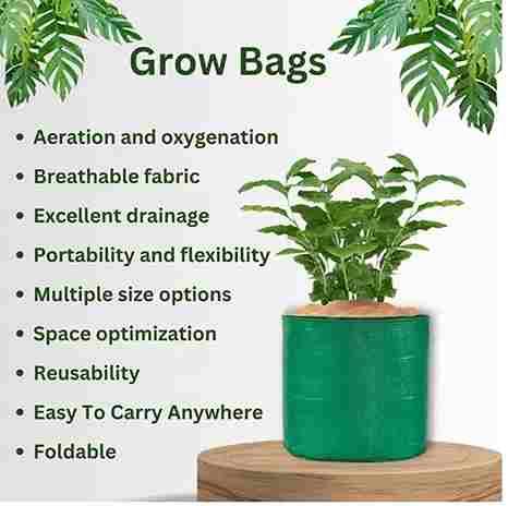 Ultimate Organic Grow Kit: 100 Seeds + 5 Pro Bags