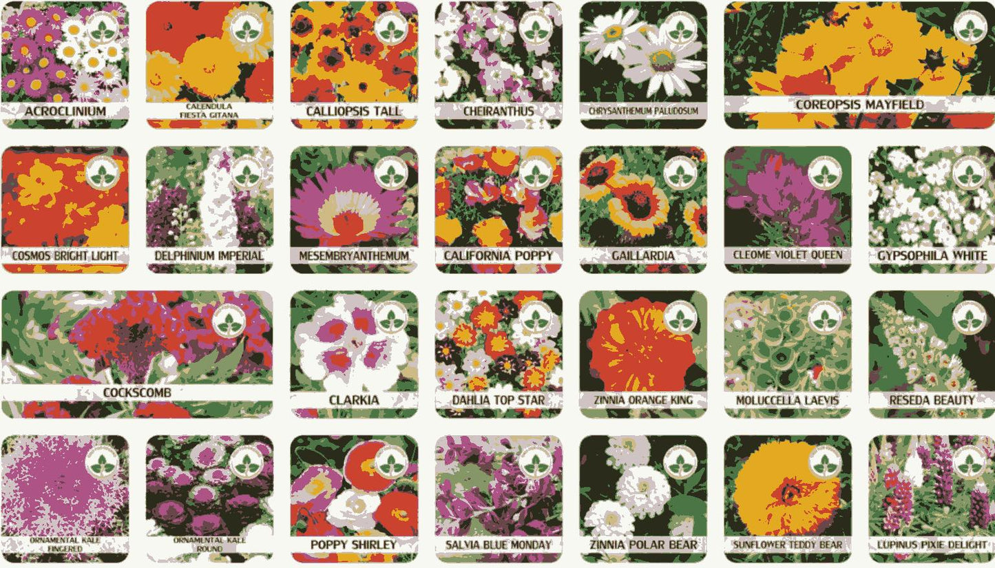 Royal Garden 100 Premium Flower Seeds + Free Plant Growth Supplement