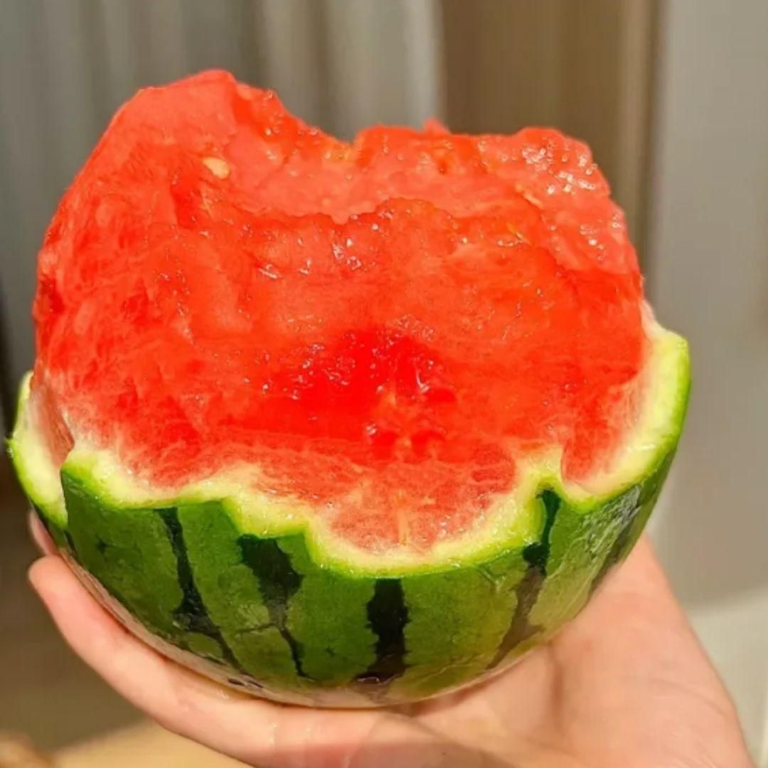 Imported Dwarf Watermelon Seeds