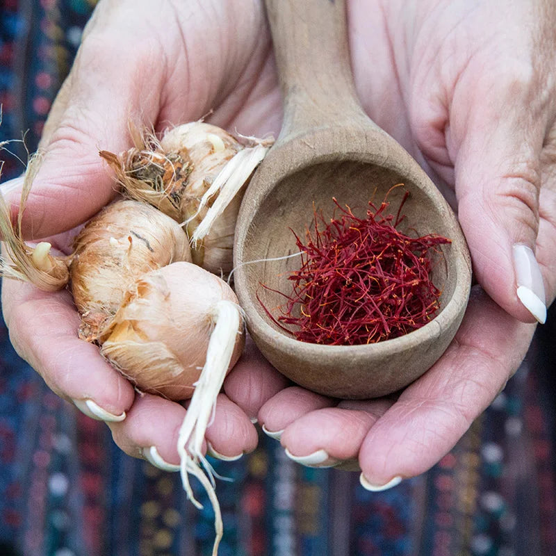 Saffron Bulbs